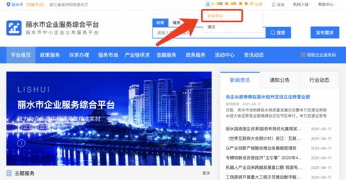麗水企業(yè) 2021年中小微企業(yè)服務券申領正式啟動，助力信息技術咨詢服務發(fā)展