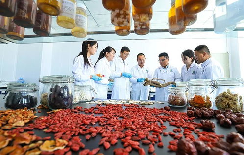 科技賦能，張掖植物工廠助力農特產品提質增效