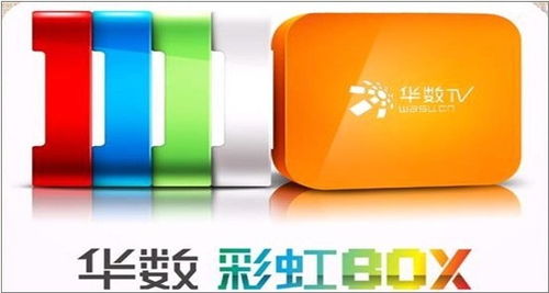 OTT浪潮中的隱形推手 新媒體技術服務商的角色與終端熱潮透視